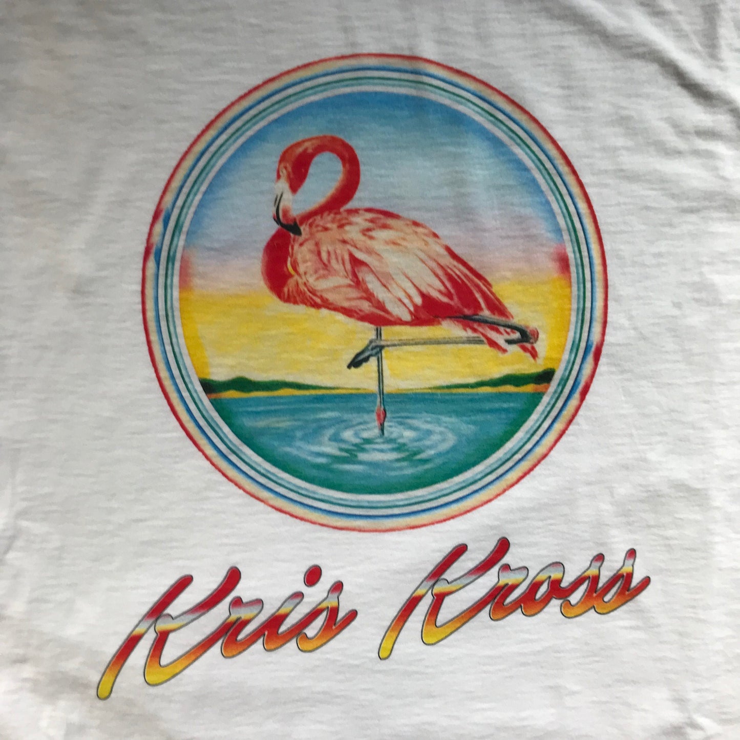 Flamingo T Shirt