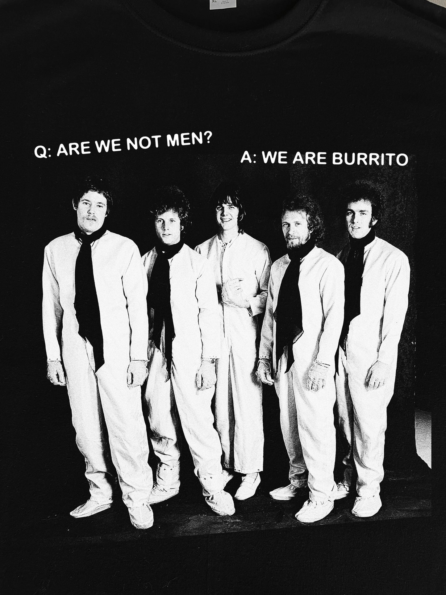 Flying Burrito Brothers Devo T-Shirt